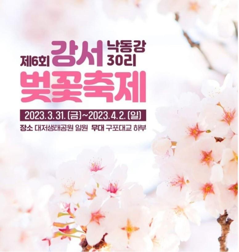 강서 낙동강 30리 벚꽃축제